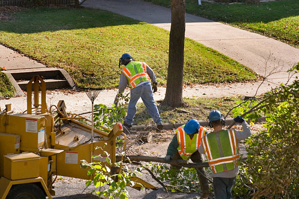 Organic Lawn Care Solutions in Edgar, WI