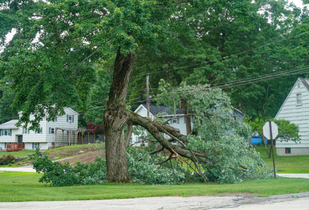 Best Seasonal Cleanup  in Edgar, WI